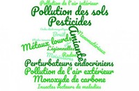 Résultats de l’enquête sur les perceptions et les ... Image 1